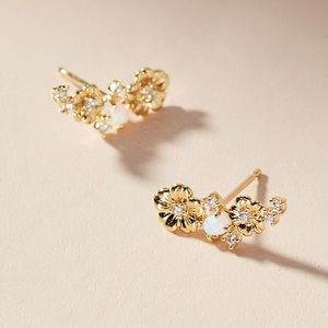 Anthropologie Wild Rose Climber Earrings